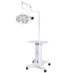 Surgical lamp with support